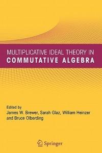 Multiplicative Ideal Theory in Commutative Algebra: A Tribute to the Work of Robert Gilmer - cover
