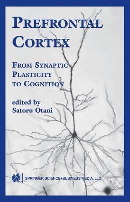 Prefrontal Cortex: From Synaptic Plasticity to Cognition - cover