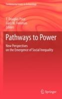 Pathways to Power: New Perspectives on the Emergence of Social Inequality