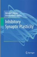 Inhibitory Synaptic Plasticity - cover