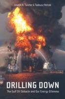 Drilling Down: The Gulf Oil Debacle and Our Energy Dilemma - Joseph A. Tainter,Tadeusz W. Patzek - cover