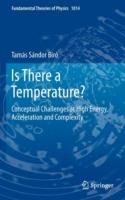 Is There a Temperature?: Conceptual Challenges at High Energy, Acceleration and Complexity - Tamás Sándor Biró - cover