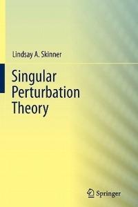 Singular Perturbation Theory - Lindsay A. Skinner - cover