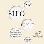 The Silo Effect