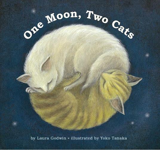 One Moon, Two Cats - Laura Godwin,Tanaka Yoko - ebook