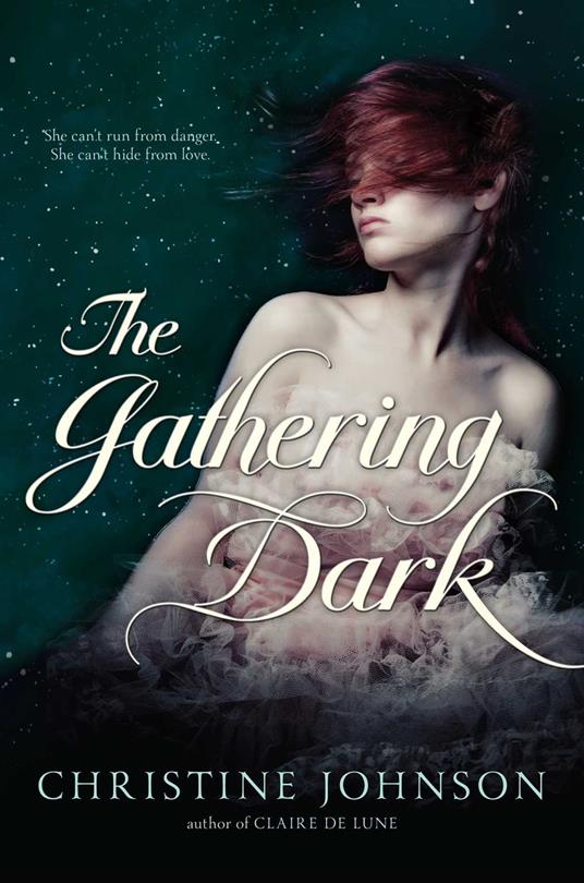 The Gathering Dark - Christine Johnson - ebook