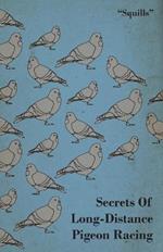 Secrets Of Long-Distance Pigeon Racing