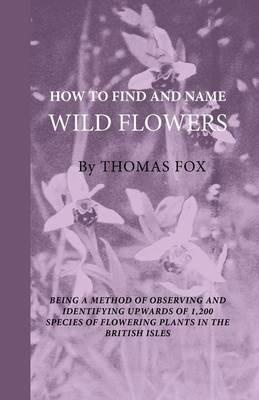 How To Find And Name Wild Flowers - Being A New Method Of Observing And Identifying Upwards Of 1,200 Species Of Flowering Plants In The British Isles - Thomas Fox - cover