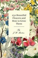 250 Beautiful Flowers And How To Grow Them