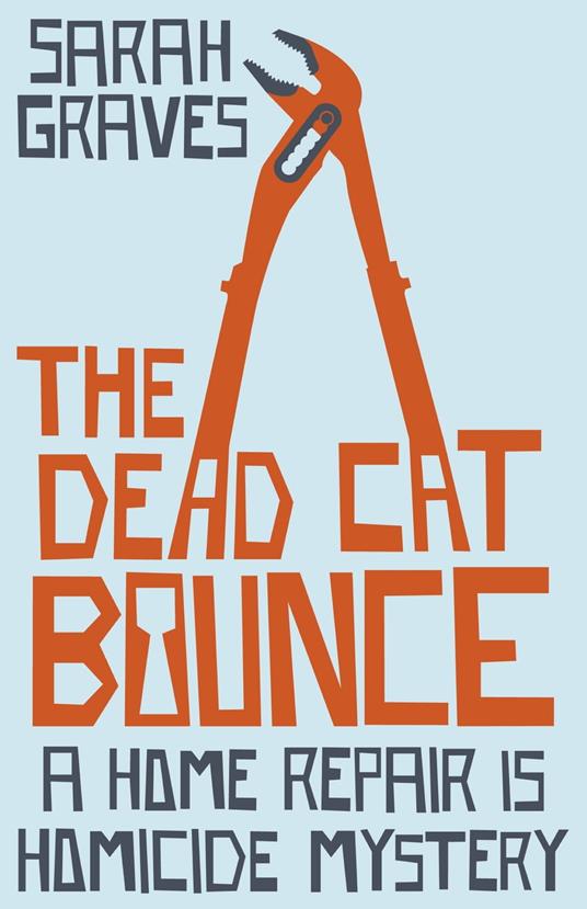 The Dead Cat Bounce