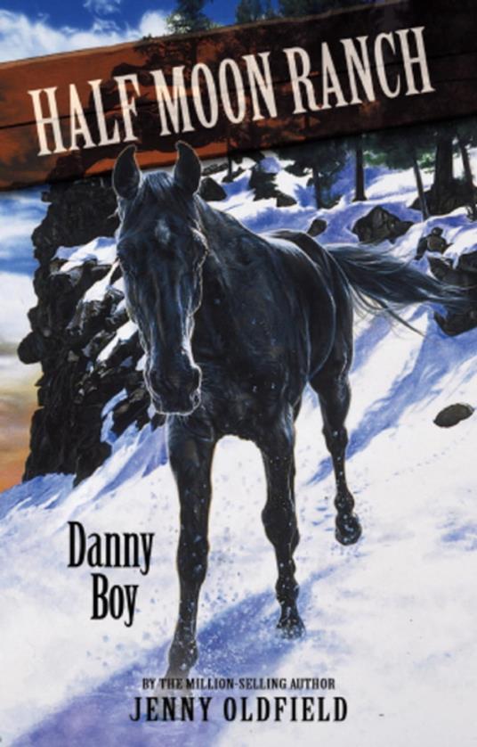 Danny Boy - Jenny Oldfield - ebook