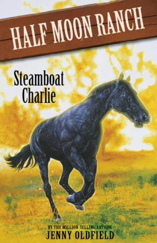 Steamboat Charlie - Jenny Oldfield - ebook