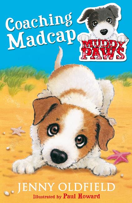 Coaching Madcap - Jenny Oldfield - ebook