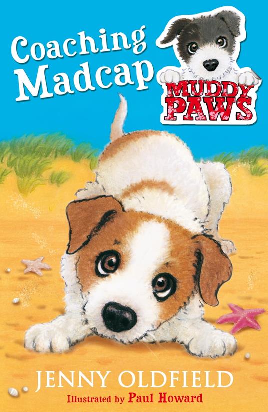 Coaching Madcap - Jenny Oldfield - ebook