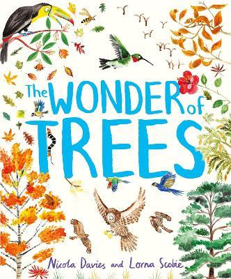 The Wonder of Trees - Nicola Davies - cover