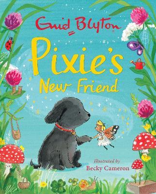 Pixie's New Friend - Enid Blyton - cover