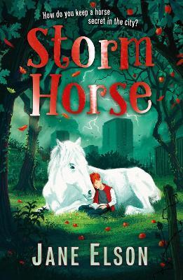 Storm Horse - Jane Elson - cover