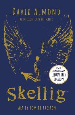 Skellig: the 25th anniversary illustrated edition - David Almond - cover