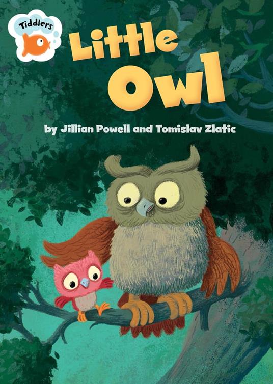 Little Owl - Jillian Powell - ebook