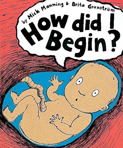 How Did I Begin? - Mick Manning,Brita Granström - ebook