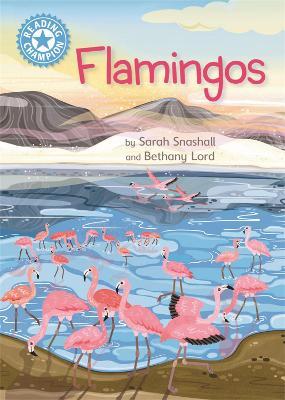 Reading Champion: Flamingos: Independent Reading Non-Fiction Blue 4 - Sarah Snashall - cover