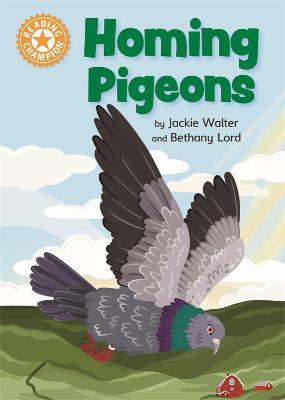 Reading Champion: Homing Pigeons: Independent Reading Orange 6 Non-fiction - Jackie Walter - cover