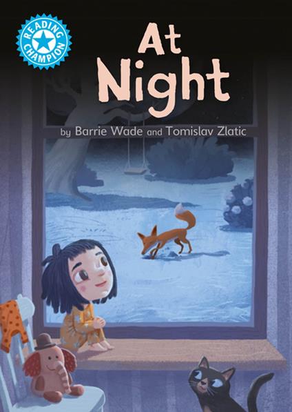 At Night - Dr Barrie Wade - ebook