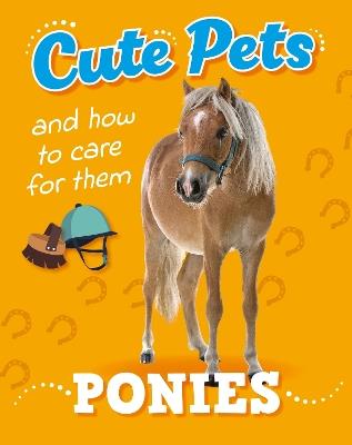 Cute Pets! And How to Care For Them: Ponies - Ruth Percival - cover
