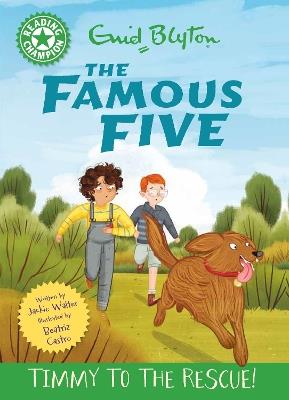 Reading Champion: The Famous Five: Timmy to the Rescue!: Green Band 5 - Jackie Walter - cover