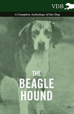The Beagle Hound - A Complete Anthology of the Dog - - Various - cover