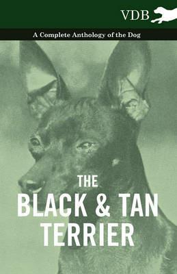 The Black And Tan Terrier - A Complete Anthology of the Dog - - Various - cover
