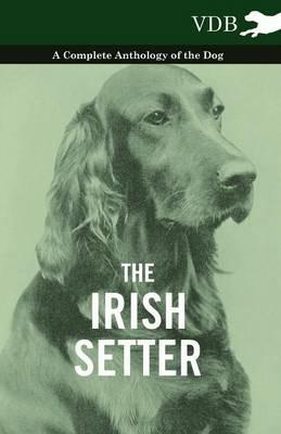The Irish Setter - A Complete Anthology of the Dog - Various - cover