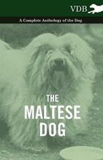 The Maltese Dog A Complete Anthology of the Dog