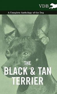 The Black And Tan Terrier - A Complete Anthology of the Dog - - Various - cover