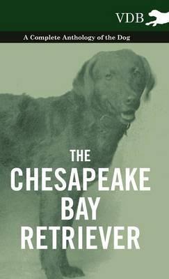 The Chesapeake Bay Retriever - A Complete Anthology of the Dog - - Various - cover