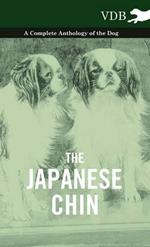 The Japanese Chin - A Complete Anthology of the Dog