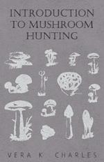 Introduction To Mushroom Hunting