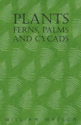 Plants - Ferns, Palms and Cycads - William Watson - cover