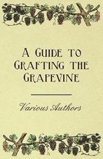 A Guide to Grafting the Grapevine