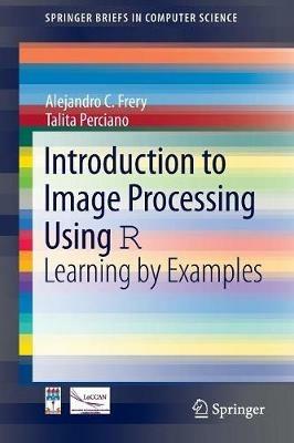 Introduction to Image Processing Using R: Learning by Examples - Alejandro C. Frery,Talita Perciano - cover