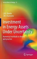 Investment in Energy Assets Under Uncertainty: Numerical methods in theory and practice