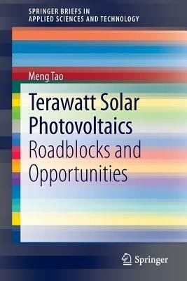 Terawatt Solar Photovoltaics: Roadblocks and Opportunities - Meng Tao - cover