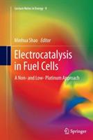 Electrocatalysis in Fuel Cells: A Non- and Low- Platinum Approach - cover