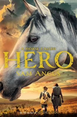 A Horse Called Hero - Sam Angus - cover