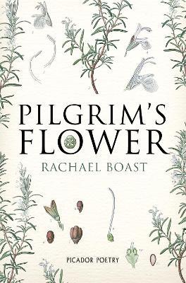 Pilgrim's Flower - Rachael Boast - cover