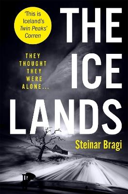 The Ice Lands - Steinar Bragi - cover