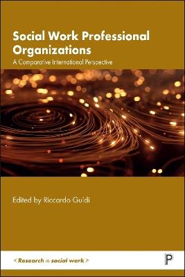 Social Work Professional Organizations: A Comparative International Perspective - cover