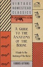 A Guide to the Anatomy of the Horse - A Collection of Historical Articles on the Skeleton, Hoof, Teeth, Locomotion and Other Aspects of Equine Anatomy