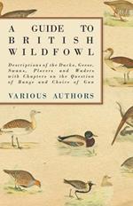 A Guide to British Wildfowl - Descriptions of the Ducks, Geese, Swans, Plovers and Waders with Chapters on the Question of Range and Choice of Gun