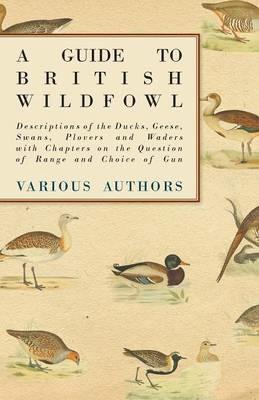 A Guide to British Wildfowl - Descriptions of the Ducks, Geese, Swans, Plovers and Waders with Chapters on the Question of Range and Choice of Gun - Various - cover